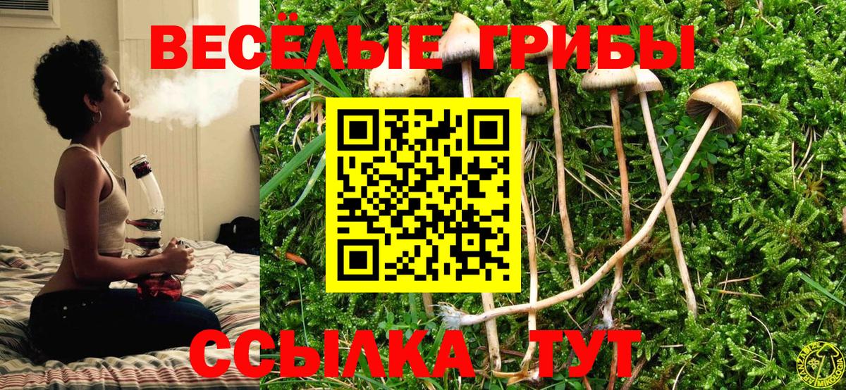 Псилоцибиновые грибы прущие грибы  Псилоцибиновые грибы Psilocybine cubensis  купить закладку  Вход с VPN  Маркс 